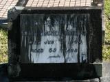 image of grave number 850521